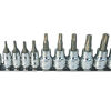 Sp Tools Socket Rail 1/4 & 3/8Dr Torx 11Pc SP20440 1/4"& 3/8"Dr 11Pc Torx Rail Socket Set • 1/4"Dr T10-T25 Sockets • 3/8"Dr T27-T55 Sockets • Adaptor • Chrome Vanadium Steel For High Durability.