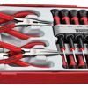 Teng 16 Pc Mini Pliers & Torx S/Driver Set Tc-Tray TTMI16 Mini Screwdrivers Feature A Rotating End Piece For Easier Use When "Transporting" The Fastening
Mini Pliers Feature High Carbon Steel Construction And Vinyl Grip Handles