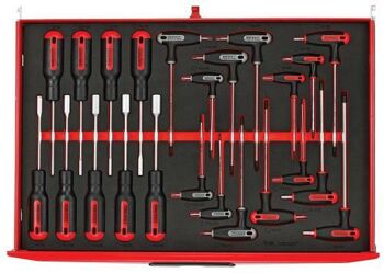 Teng 23 Pc Eva Tool Set TTEX23 Set Containing Metric Nut Drivers And Metric Hex And Tx/Tpx T Handle Drivers.
Supplied In The Teng Tools Two-Colour Pre-Cut Eva Foam Tool Control System.
Nut Drivers: 5, 5.5, 6, 7, 8, 10, 11, 12, 13Mm
Hex Keys W T-Handle: 2.5X100, 3X100, 4X100, 5X150, 6X150, 7X150, 8X190Mm
Tx Keys W T-Handle: Tx10X100, Tx15X100, Tx20X100, Tx25X150, Tx27X150, Tx30X150, Tx40X190