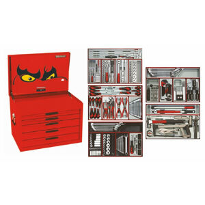 Teng 343 Pc Tool Kit TC8343NFX • 5 Drawer,  Full Depth Top Box
• 124 Sockets & Accessories
• 13 Pce Extension Set
• 34 Combo Spanners (8-32Mm, 5/16”-1-1/4)
• 7 Pliers • 15 Screwdrivers • Ratcheting Screwdriver Set
• 1/2” Dr Torque Wrench • 1/2” Dr Impact Driver Kit
• 1/2” Dr Breaker Bar
• 9 Pce Punch & Chisel Set & So Much More…