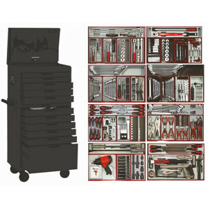 Teng Tool Kit 541 Pce - Black TCMM542BK • 11 Drawer, 123 Sockets & Accessories
• 34 Combo Spanners Af/Metric 5/16”-1-1/4”, 8-32Mm
• 16 Ratchet Combo Spanners Af/Metric
• 11 Double Ring Spanners • 17 Pliers
• 15 Screwdrivers, 12 Mini Screwdrivers, Ratcheting Screwdriver Set
• 14 T-Handle Hex Key Af/Metric, Oil Service Kit
• Brake Service Kit • 13 Pce Extension Set
• 9 Pce General Tool Kit • 1/2” Dr Torque Wrench
• 1/2” Breaker Bar, 1/2” Dr Impact Gun
• 1/2” Dr Impact Sockets Standard & Deep, Impact Accessories
• Deluxe Pry Bar Set • Pin Punches, Files, Chisels
• Impact Driver & Rivet Gun
• General Tool Kit And So Much More